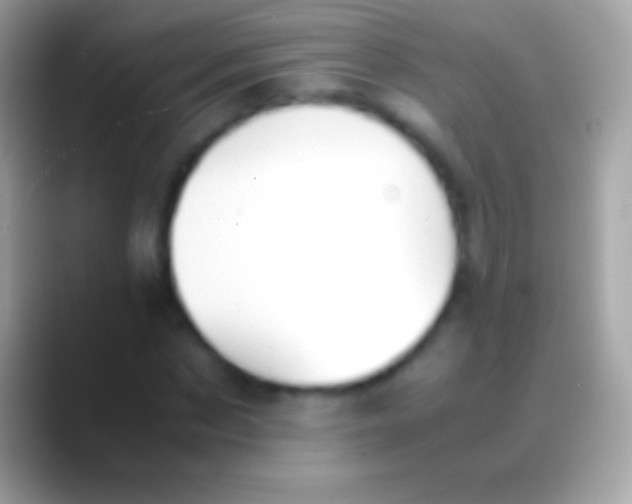 X0000088150873200706041353