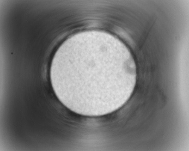 X0000088150875200706041353