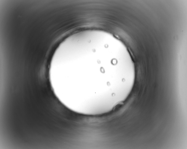 X0000088150876200706041353