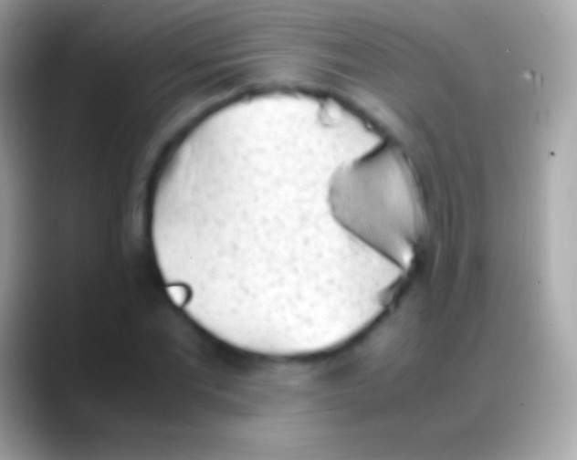 X0000088150877200706041353