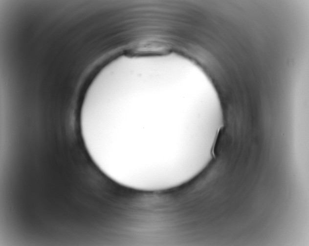 X0000088150880200706041353