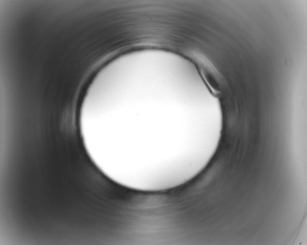 X0000088150884200706041353