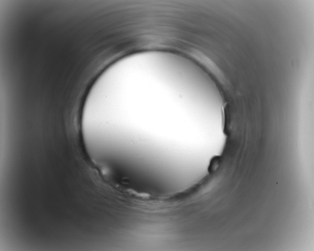 X0000088150885200706041353