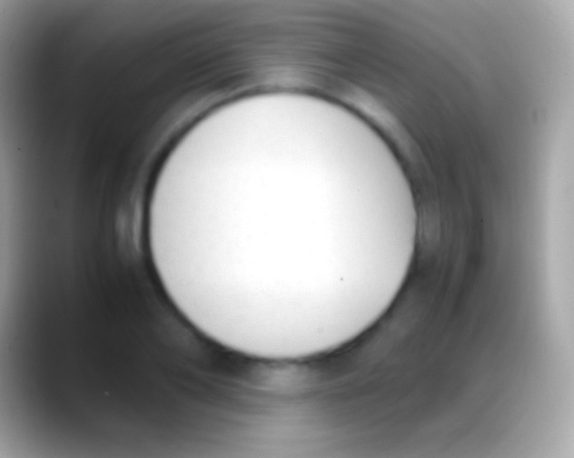 X0000088150886200706041353