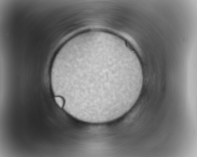 X0000088150887200706041353