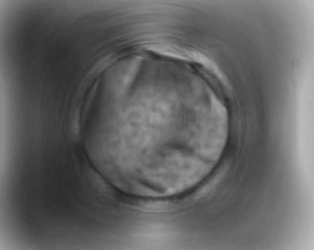 X0000088150889200706041353