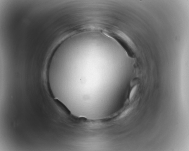 X0000088150893200706041353