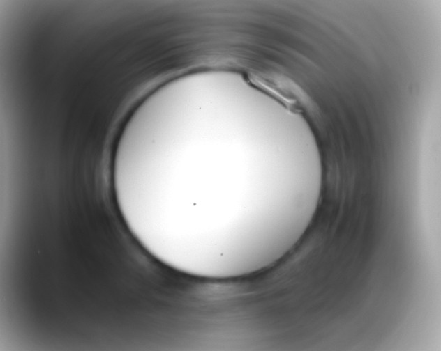 X0000088150894200706041353