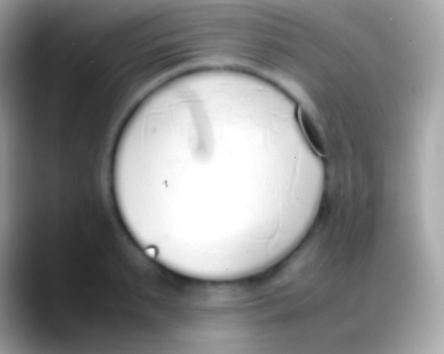 X0000088150895200706041353