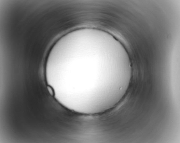 X0000088150896200706041353