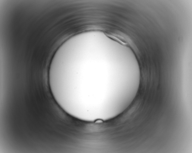 X0000088150898200706041353