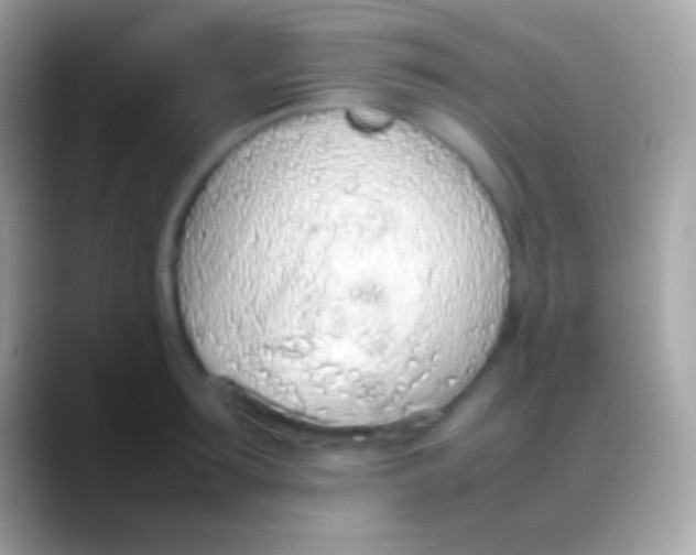 X0000088150899200706041353