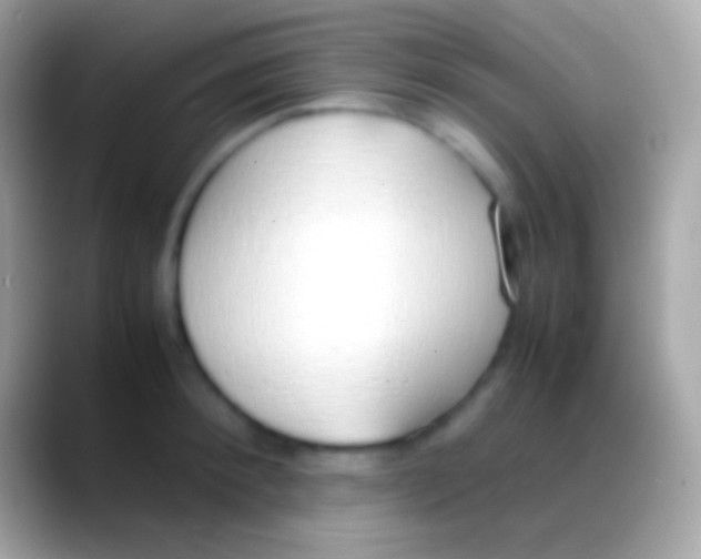 X0000088150900200706041353