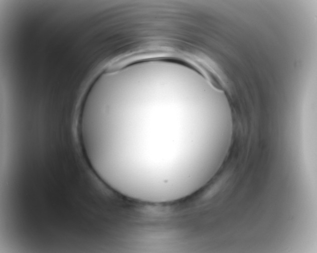 X0000088150901200706041353