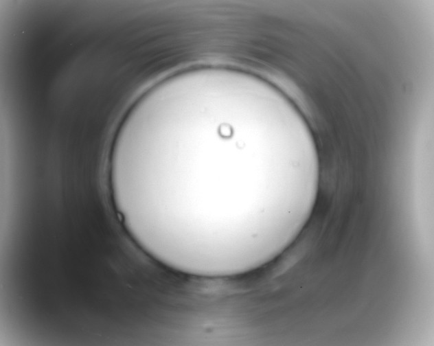 X0000088150903200706041353