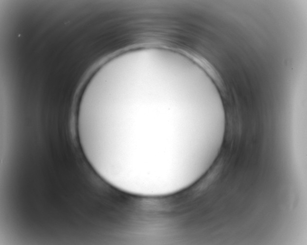 X0000088150904200706041353