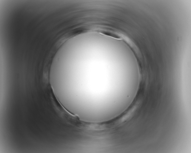 X0000088150905200706041352