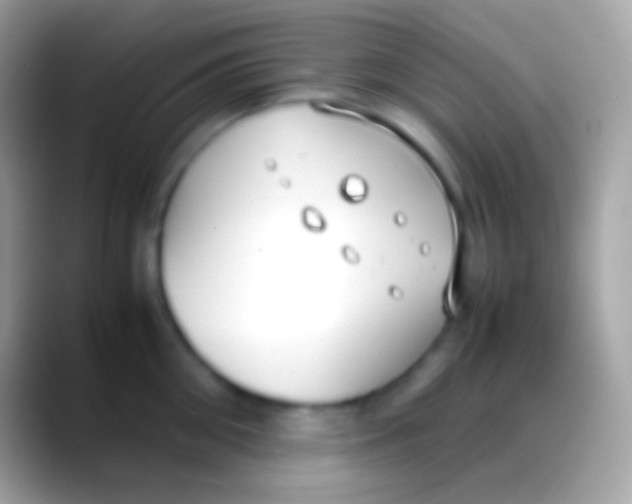 X0000088150906200706041352