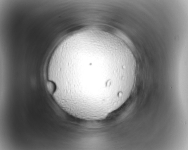 X0000088150907200706041352