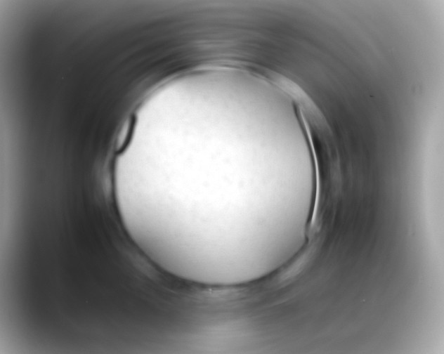 X0000088150908200706041352