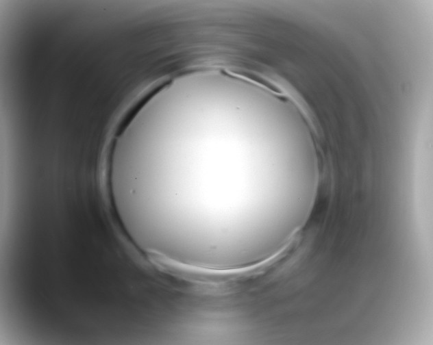 X0000088150909200706041352