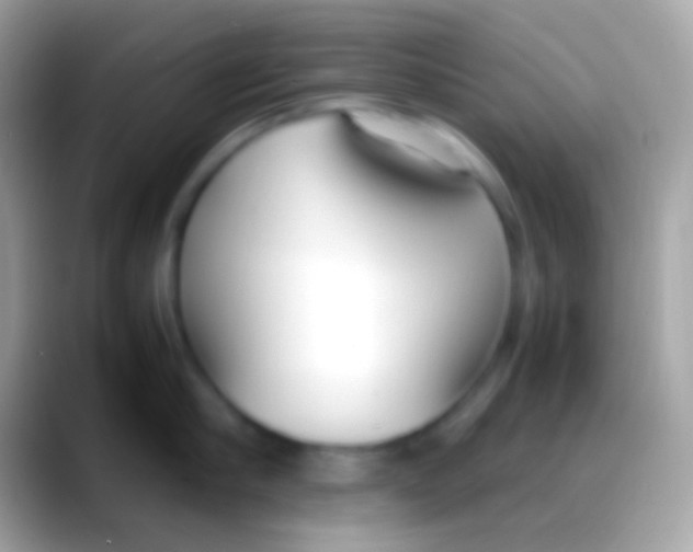 X0000088150910200706041352