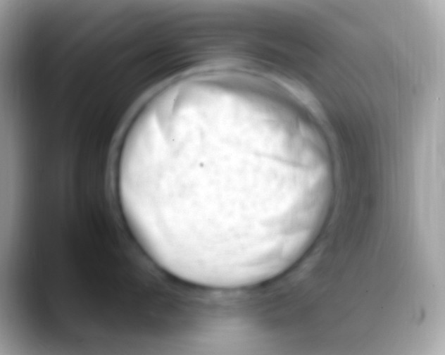 X0000088150912200706041352