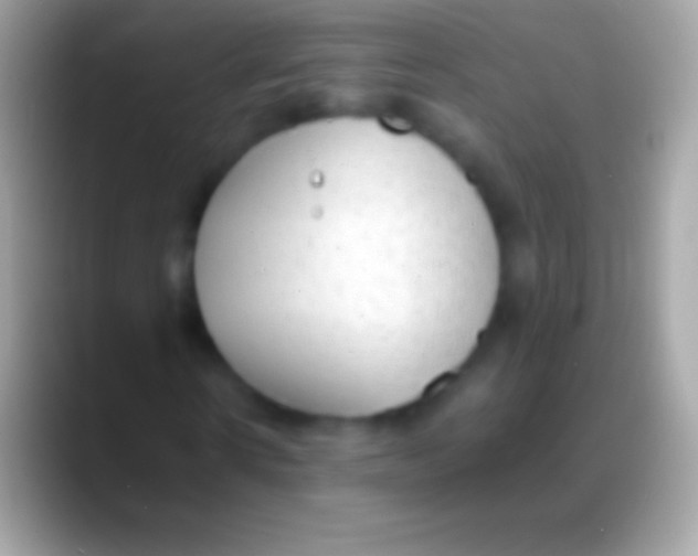 X0000088150914200706041352