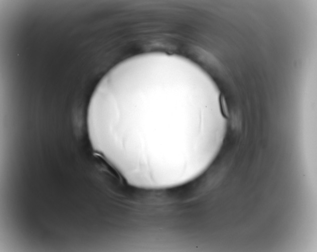 X0000088150915200706041352