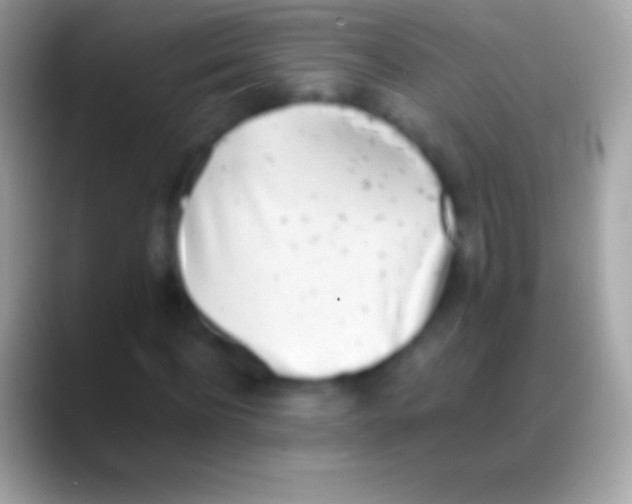 X0000088150916200706041352