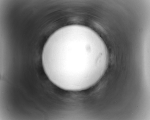 X0000088150917200706041352