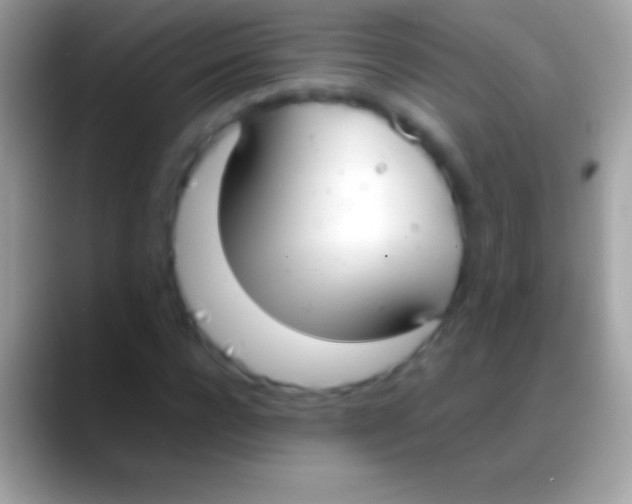 X0000088150920200706041352