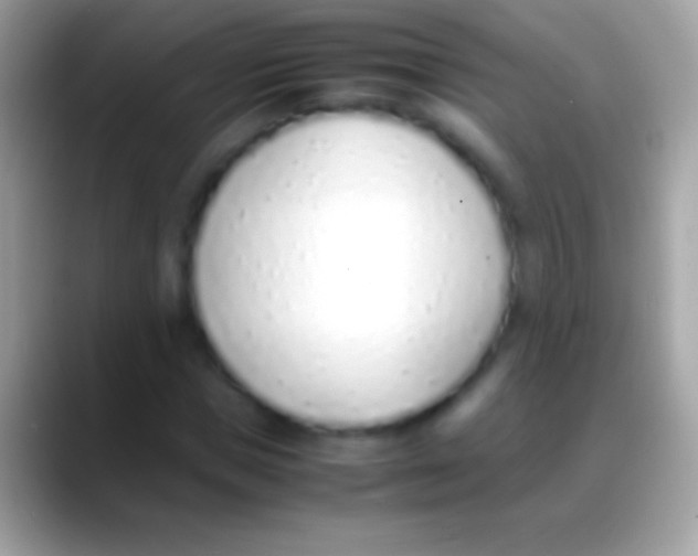 X0000088150921200706041352