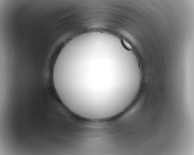 X0000088150922200706041352