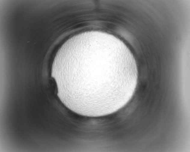 X0000088150923200706041352