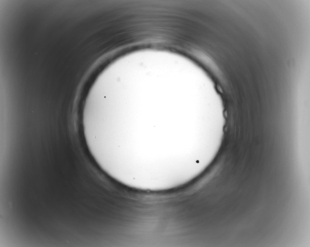 X0000088150924200706041352