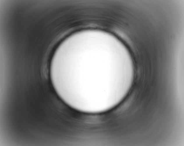 X0000088150925200706041352