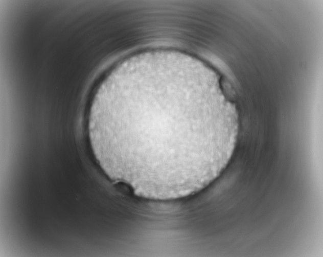 X0000088150928200706041352