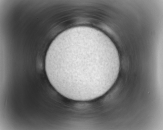 X0000088150929200706041352