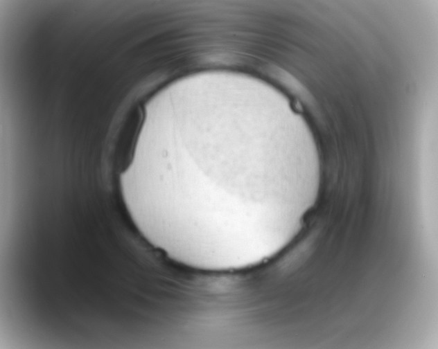 X0000088150930200706041352