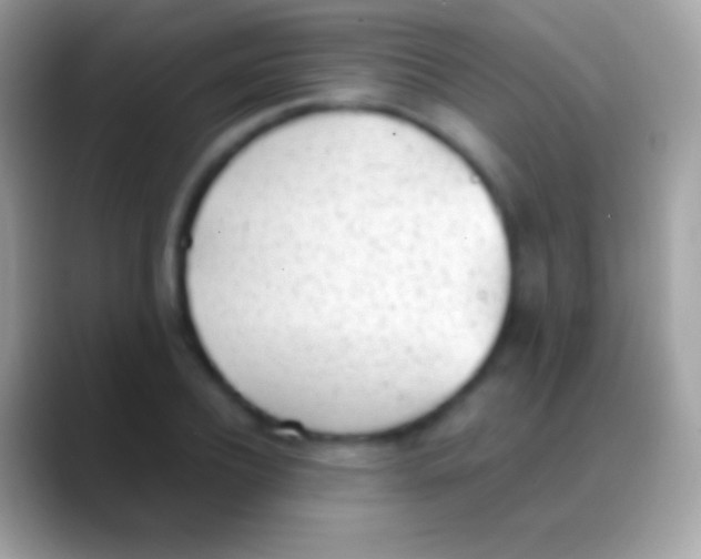 X0000088150932200706041352