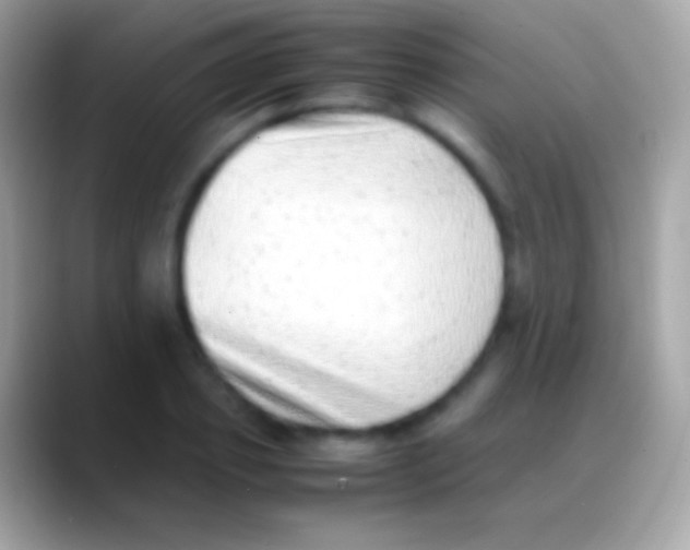 X0000088150933200706041352