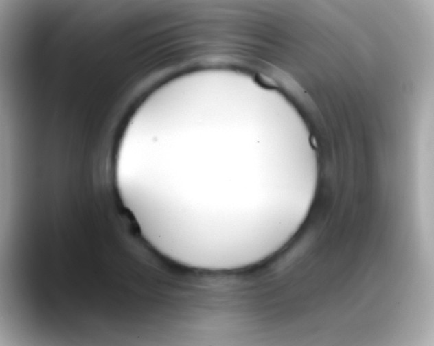 X0000088150934200706041352