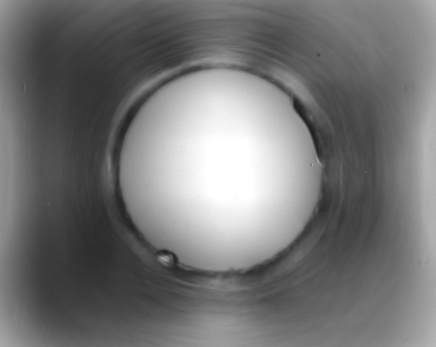 X0000088150936200706041352