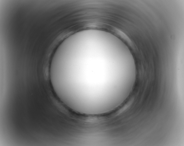 X0000088150938200706041352