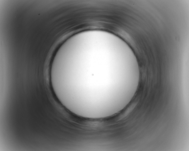 X0000088150939200706041352