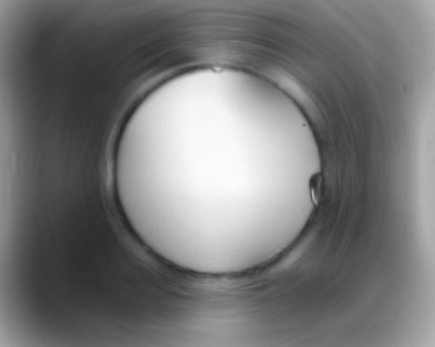 X0000088150940200706041352