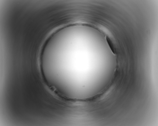 X0000088150942200706041352