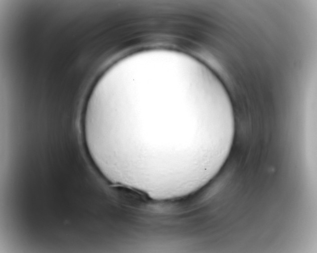 X0000088150943200706041352