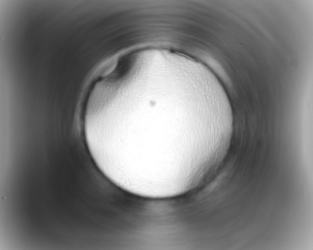 X0000088150944200706041352